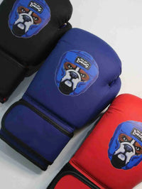 Kids' Pro-Am boxing gloves by Proamboxinguk, featuring bright colors and padded design for safe boxing training.