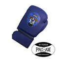Kids' Pro-Am boxing gloves by Proamboxinguk, featuring colorful design, padded wrist support, and durable construction for young fighters.