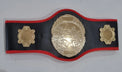 Pro-Am Champions boxing belt with custom award design, featuring engraved plaque and detailed leather strap, by Proamboxinguk.