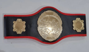 Pro-Am Champions boxing belt with custom award design, featuring engraved plaque and detailed leather strap, by Proamboxinguk.