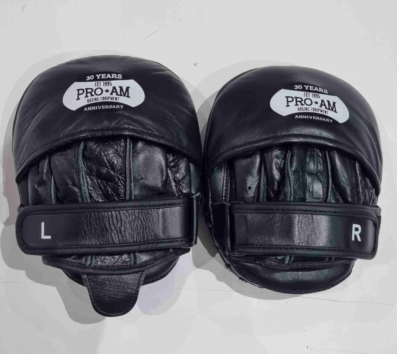 Pro-Am Micro Boxing Mitts by Proamboxinguk, close-up of foam padded training mitts for boxing practice and training.