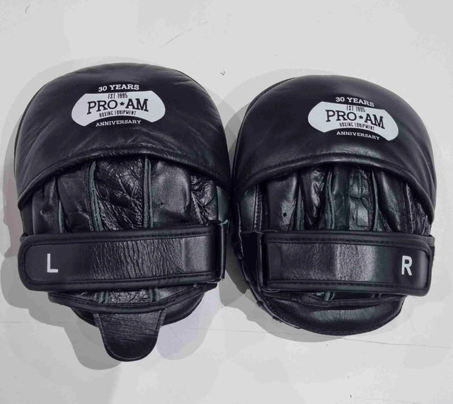 Pro-Am Micro Boxing Mitts by Proamboxinguk, close-up of foam padded training mitts for boxing practice and training.